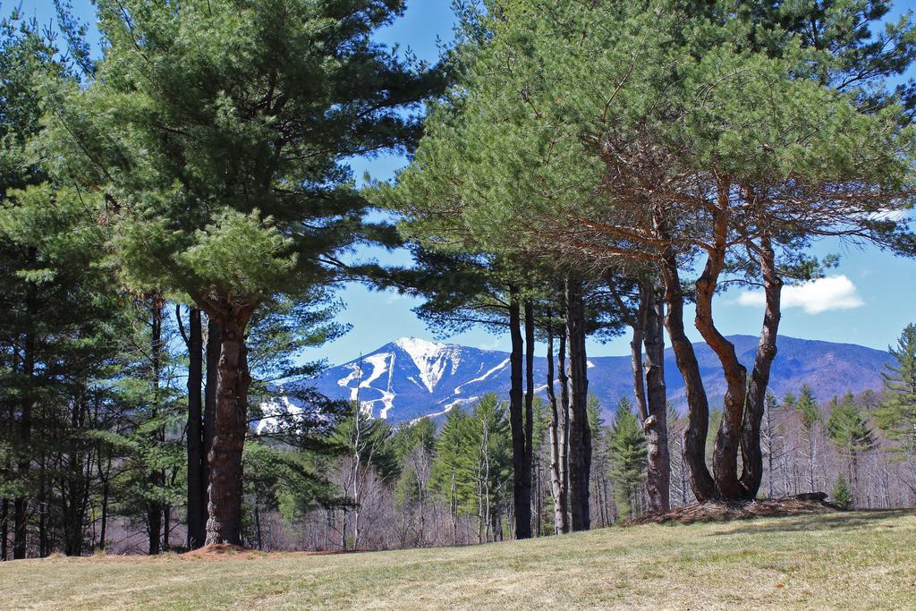 Esther Mountain Chalet Villa Wilmington Dış mekan fotoğraf