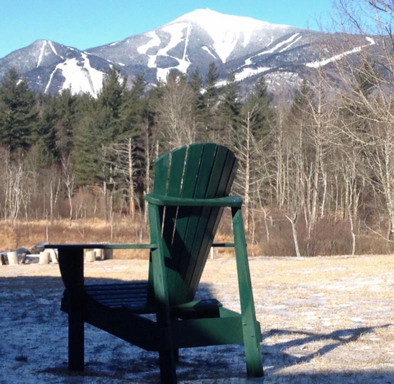 Esther Mountain Chalet Villa Wilmington Dış mekan fotoğraf